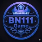 BN111 Game